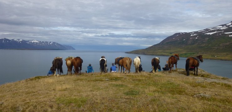 Faszination Eyjafjörður