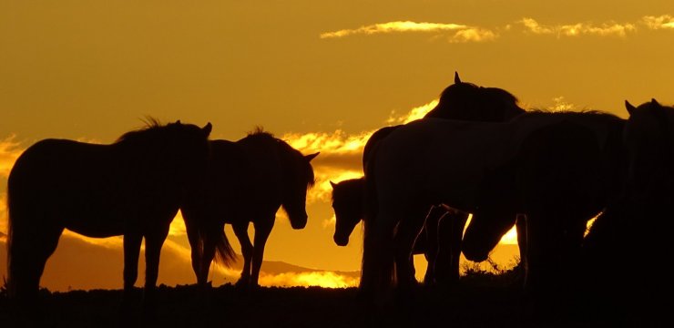 Ring around the Midnightsun