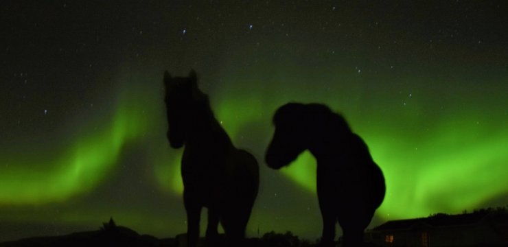 Herbstfarben und Nordlichter