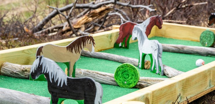 Grýtubakki-Minigolf