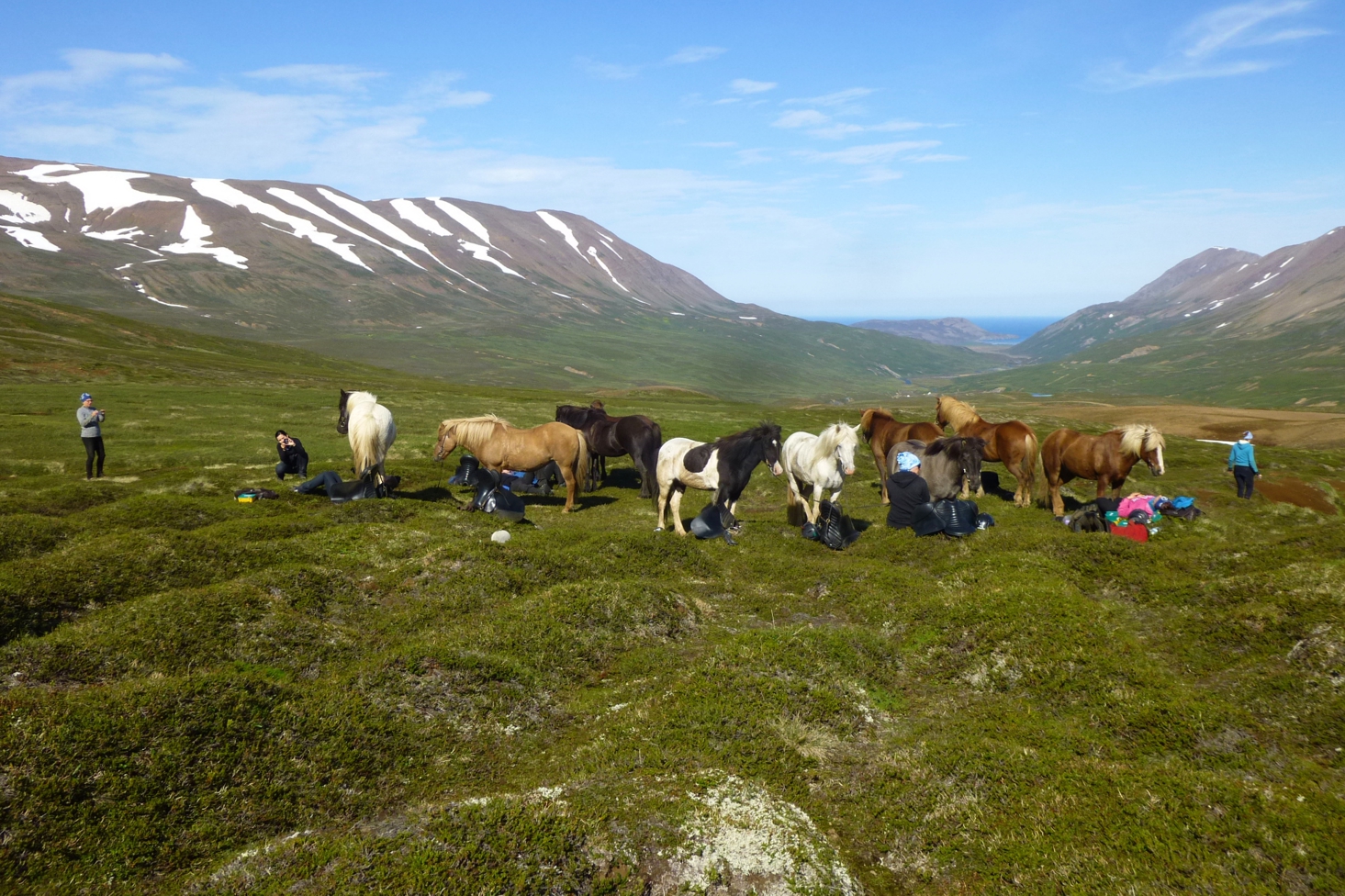 Fjördur