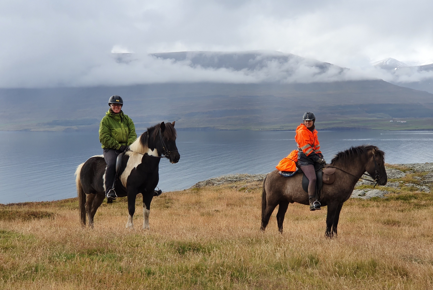 Autumn Colours and Northern Lights | Pólarhestar