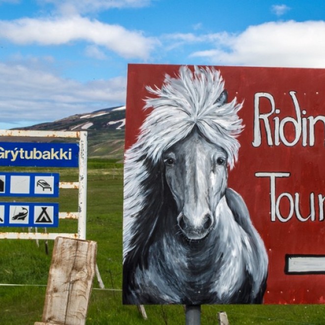 Welcome to Pólar Hestar