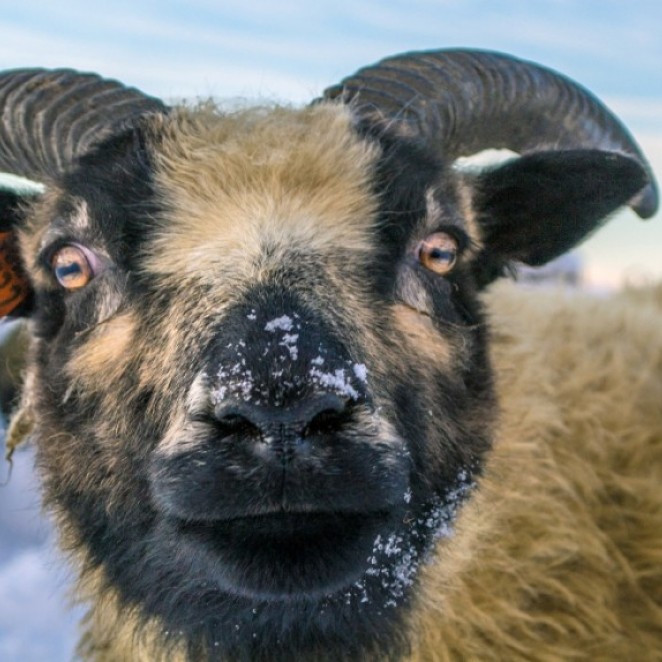 We look forward to see you next year again :)