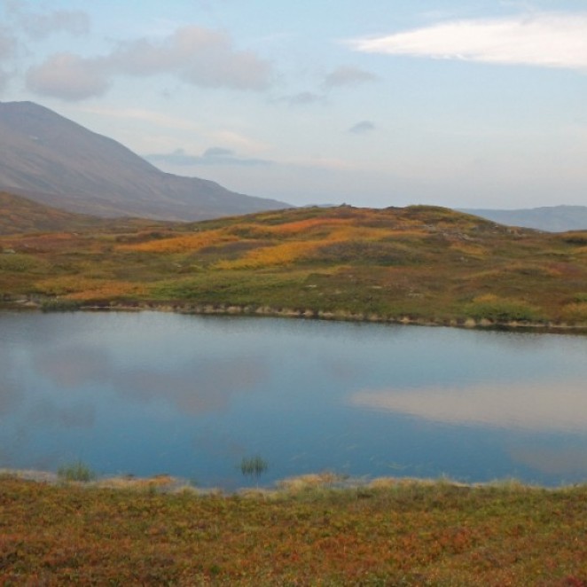The autumn coloured the landscape