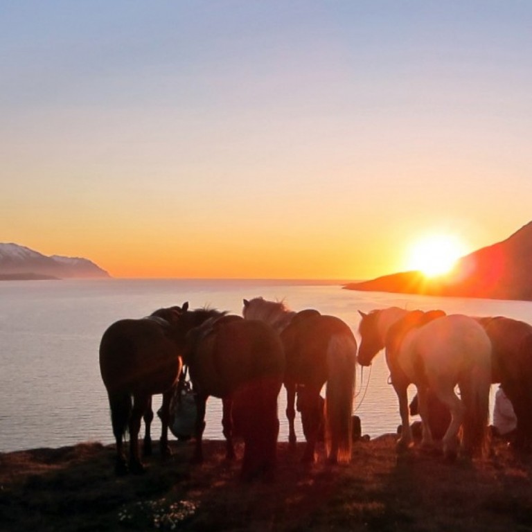 Midnight sun in june