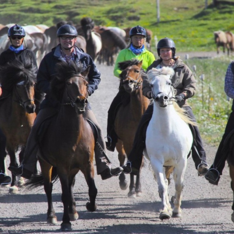 A group of riders starting to a long tour