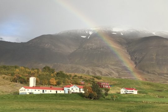 Almennar upplýsingar